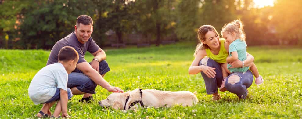 Family Playing in the Park